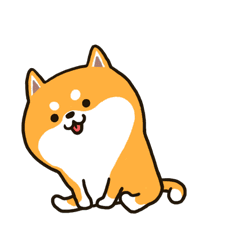 柴犬二哈.gif