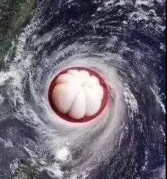 山竹.jpg